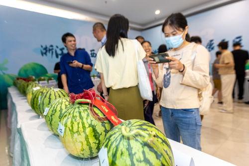 温岭吃瓜比赛事件,全民参与，瓜王争霸