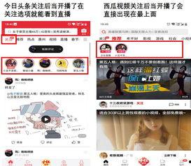头条关注直播在哪找视频,轻松找回精彩瞬间