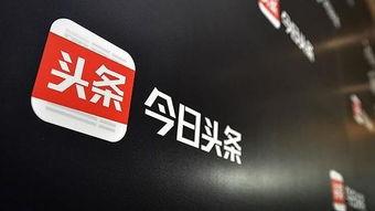 辽源东区今日头条新闻,聚焦城市发展新动态，共话区域繁荣新篇章