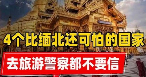 头条历史杂谈文章,头条杂谈中的历史故事