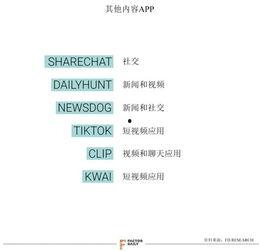 头条印度最近视频,街头巷尾的日常生活与变迁
