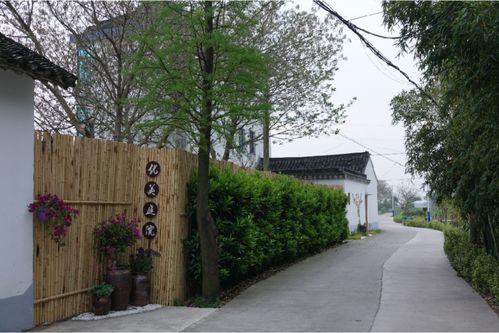 网红村案例,数字时代下的乡村振兴新路径