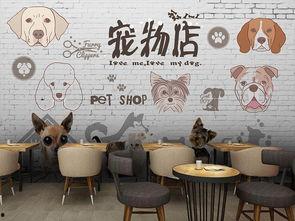 网红背景墙宠物布艺,打造温馨宠物乐园