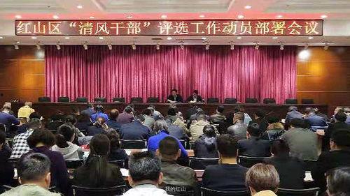 龙岩双桥街道新闻头条,聚焦社区发展新动态