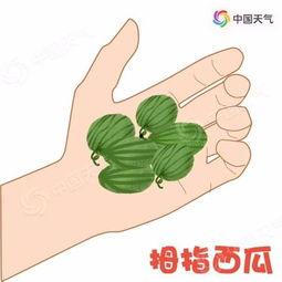 带你吃瓜下雪天,一场别开生面的冬日盛宴