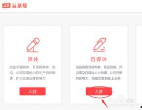 头条的传播平台是什么,引领信息时代的潮流先锋