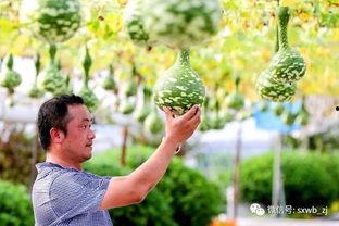 绍兴吃瓜新闻最新情况,真相渐明引热议