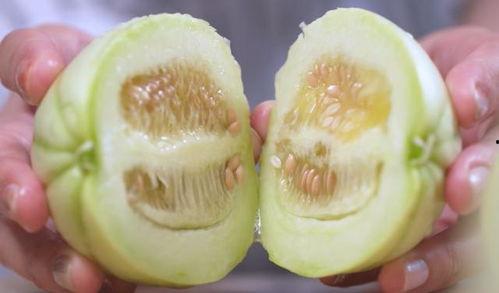 能带着皮吃的瓜,带你探索能带着皮吃的瓜的世界