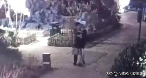 长垣吃瓜事件视频,一场引发热议的网络狂欢