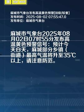 麻城市今日头条直播,探秘今日麻城，尽享城市风采瞬间