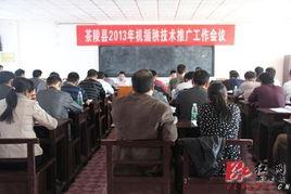 茶陵县红网新闻,聚焦本土发展，传递民生温度