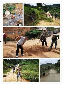 芷村镇网红,网红打卡新地标，魅力乡村焕新颜