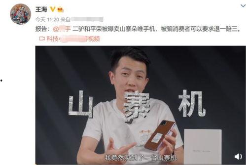被打假后依然直播的网红,直播网红逆势崛起，揭秘其背后真相！”