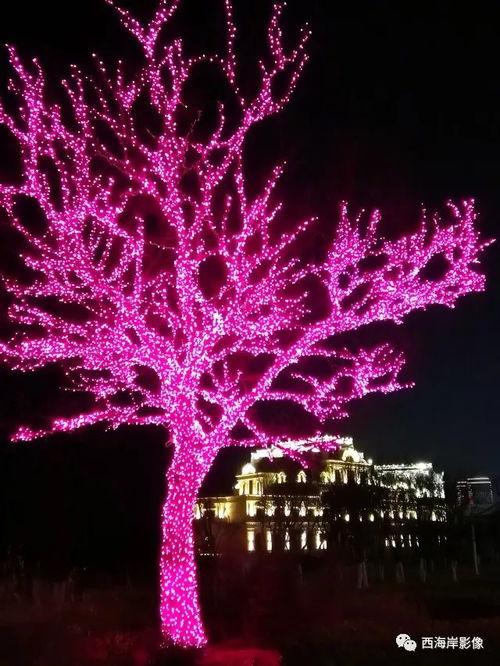 网红西海岸夜景照片