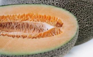 吃蜜瓜嘴里疼,揭秘吃蜜瓜嘴疼的真相