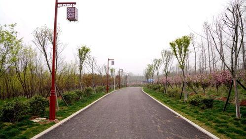 汝阳网红打卡公园在哪