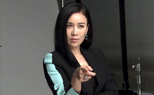 跟那英相似的明星,华语乐坛新声代明星盘点