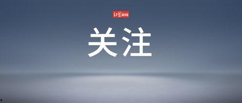 今日头条选择大于努力,揭秘成功背后的关键因素”