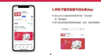 头条手机直播在哪里找回