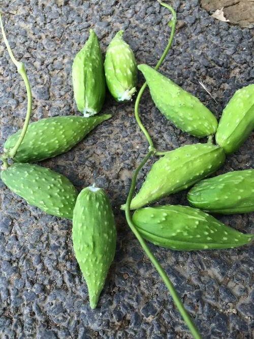 孕妇喜欢吃的瓜,探寻孕妇钟爱的甜蜜滋味