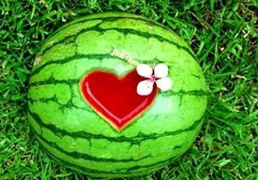 周公解梦吃田瓜,吃田瓜的寓意与象征