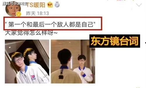 转会期最新爆料ts,TS战队引援新动态，神秘选手即将加盟