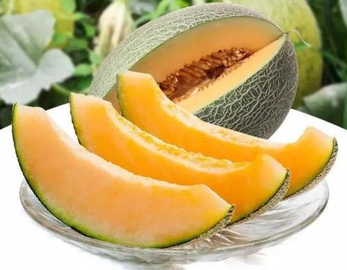 省院吃瓜,吃瓜群众视角下的真实故事