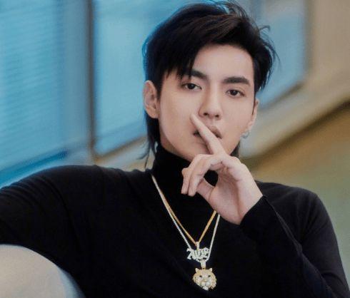 姓回的明星,闪耀娱乐圈的璀璨星辰