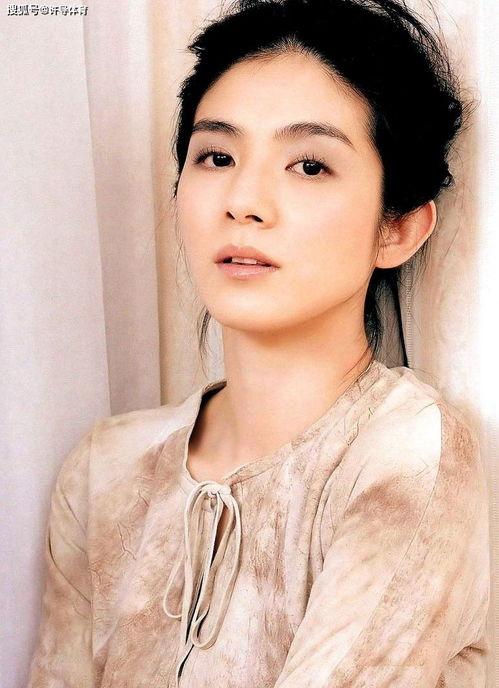 北方的香港明星,香港明星的璀璨风采”