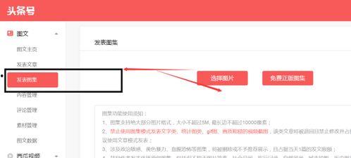 发头条照片的条件,探寻视觉冲击力背后的秘密