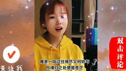 怎叹歌曲网红翻唱,经典旋律再掀热潮