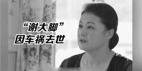 娱乐圈的吃瓜影帝下载